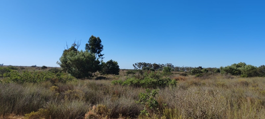 To Let 0 Bedroom Property for Rent in Hopefield Rural Western Cape